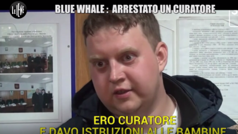 curatore Blue whale