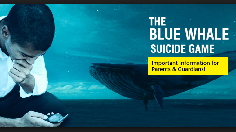 blue Whale